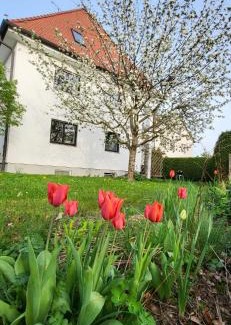 Unterallgau Apartment | Allgäu Retreat: Family-Friendly Getaway with Top Ratings
