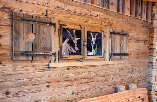 Gruenenbach Apartment | Discover Allgäuer Stüble: A Family-Friendly Escape