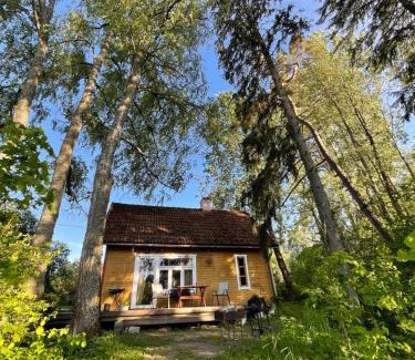 Pohja-Sakala Parish House | Inviting Allika-Löövi Sauna Cabin with Hot Tub & Pet Friendly