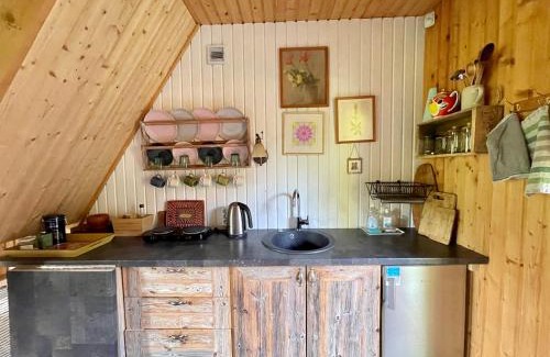 Pohja-Sakala Parish House | Inviting Allika-Löövi Sauna Cabin with Hot Tub & Pet Friendly