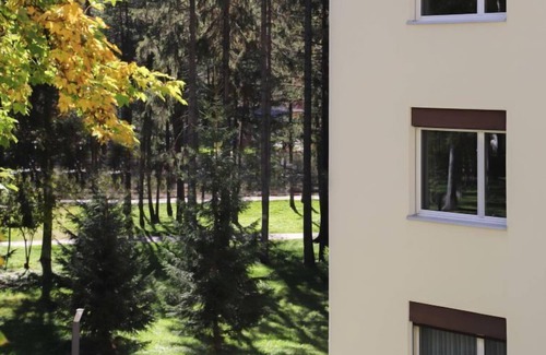 Davos-Platz Apartment | Pet-Friendly Allod Park Haus C E03 with Lake View & Spa