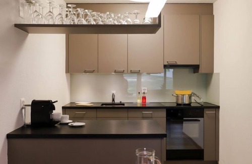 Davos-Platz Apartment | Stylish Allod Park Haus C U04 with Spa and Lake Views