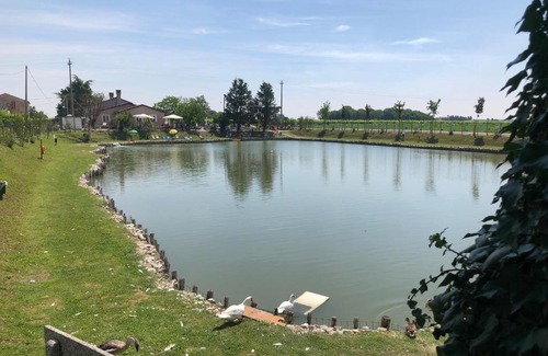 Terrassa Padovana House | Pet-Friendly Stays at Alloggi Al Lago Matti Pessetti