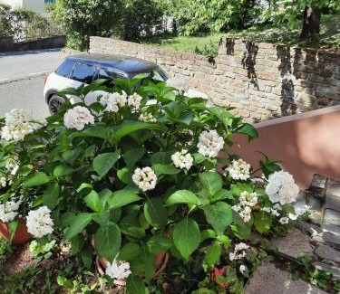 Casaleggio Boiro House | Child-Friendly Retreat at Alloggio il Pino with Kitchenette