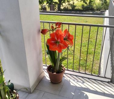 Acquapendente Apartment | Guest Rated 10/10 at Alloggio Le Due Querce Hotel