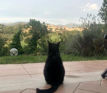 Terni House | Discover Alloggio Rurale: Pet-Friendly Retreat with Pool