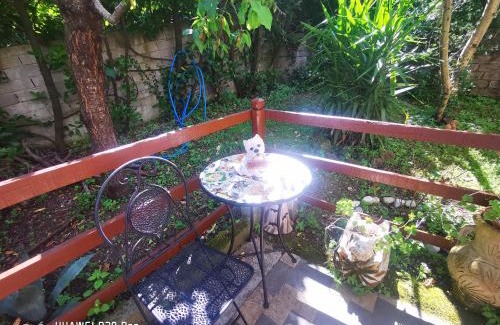 Rocca di Papa Apartment | Cozy La Mansarda: Pet-Friendly Stay with Free Parking & Wi-Fi