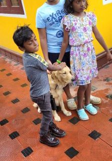 Elappara House | Cozy Allora Homestay: Child-Friendly & Guest Rated 8.3/10