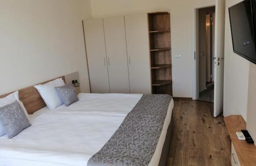 Kiten Apartment | Oceanfront Allure Beach Resort Aparthotel - Pet Friendly Stay