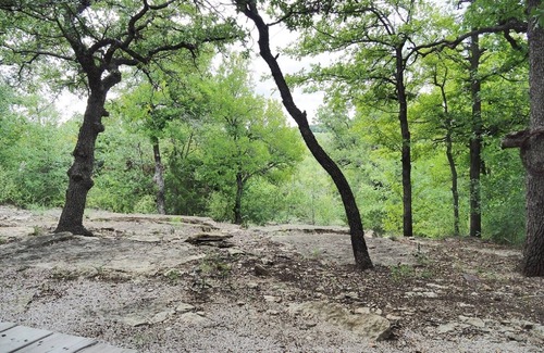 Eastland House | Tranquil Hill Country Retreat with Lake Access & Family Amenities