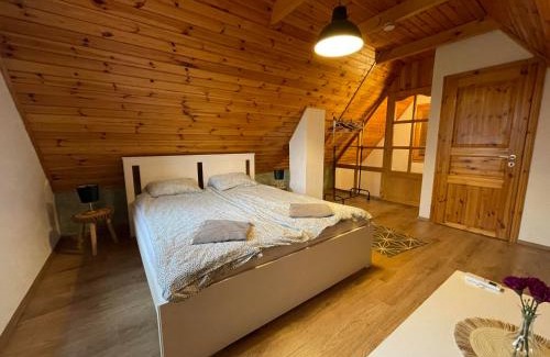 Harkany House | Family-Friendly Alma Apartmanház with Hot Tub & High Ratings