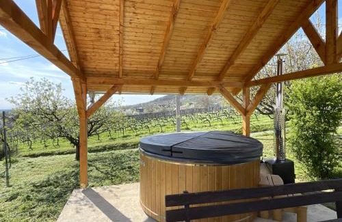 Harkany House | Family-Friendly Alma Apartmanház with Hot Tub & High Ratings