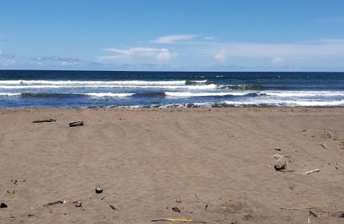 Tortuguero Hotel | Alma Del Bosque Hotel
