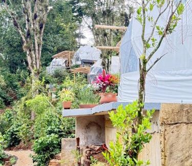 Xalapa Other | Alma Glamping