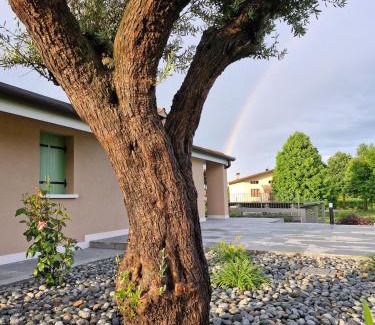 Pieve di Soligo House | ALMA Guest House