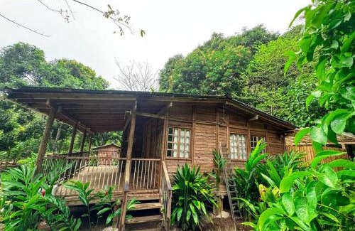 Sapzurro House | Eco-Friendly Cabaña Sapzurro: Family and Pet Friendly Retreat