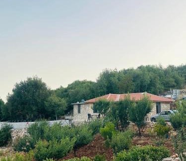 Ajloun Villa | AlMajed Villa Ajloun فيلا الماجد عجلون