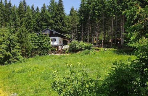 Bad Sankt Leonhard im Lavanttal House | Relax at AlmFerienhaus Gaisegg, Pet & Child Friendly Retreat