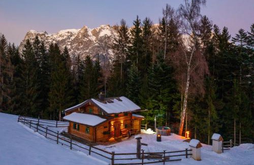 Werfen House | Discover Almfrieden: Guest Rated 9.7 with Hot Tub Bliss