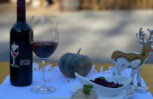 Hinterstoder Apartment | Cozy Almgasthaus Baumschlagerreith: 9/10 Guest Rated Stay
