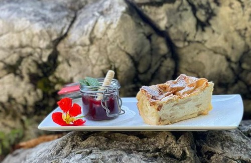 Hinterstoder Apartment | Cozy Almgasthaus Baumschlagerreith: 9/10 Guest Rated Stay