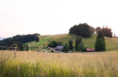 Utzenfeld Apartment | Almgasthaus Knöpflesbrunnen Doppelzimmer