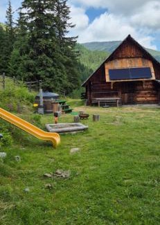 Ramingstein Ski Chalet | Discover Almhütte Prem 1: Pet & Child Friendly Retreat