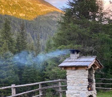 Ramingstein Ski Chalet | Discover Almhütte Prem 1: Pet & Child Friendly Retreat