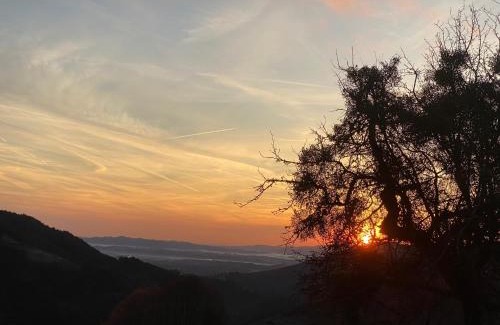 Schwanberg House | Discover Almhaus Kochjosel: Pet-Friendly Retreat Rated 9.2