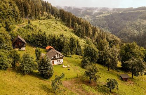 Schwanberg House | Discover Almhaus Kochjosel: Pet-Friendly Retreat Rated 9.2