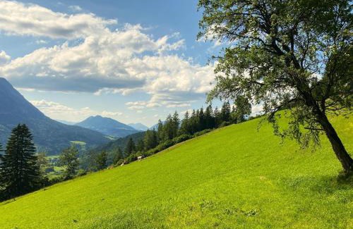 Spital am Pyhrn Ski Chalet | Experience Family-Friendly Comfort at Almhaus Vorleithen