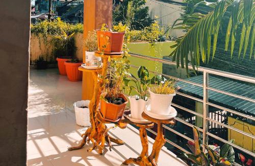 Ambon Hotel | Discover Almira Homestay Ambon: Family-Friendly Retreat