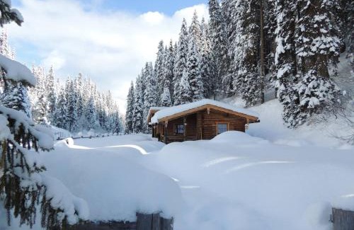 Hochfugen Apartment | Discover Almnest in Hochfügen with Private Spa Retreat
