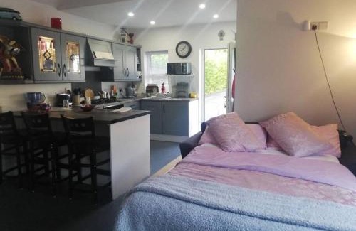 Donegal Apartment | Almost Heaven: Pet-Friendly Tiny Home with Cozy Fireplace
