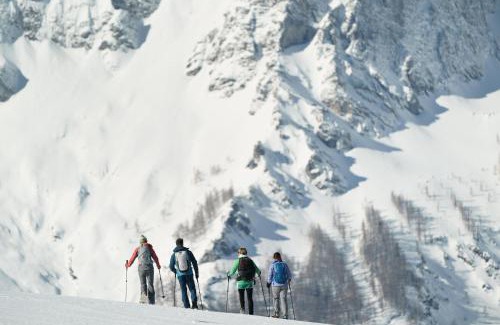 Vorderstoder House | Experience Almresort Baumschlagerberg: Rated 10/10 Stay