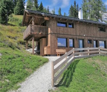 Pruggern Ski Chalet | Almresort Sommerschnee: Pet-Friendly Retreat with Spa