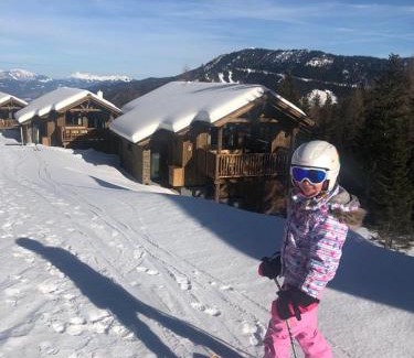 Pruggern Ski Chalet | Almresort Sommerschnee: Pet-Friendly Retreat with Spa