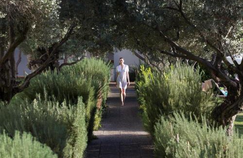 Paphos Hotel | Discover Almyra: 5-Star Oceanfront Retreat with Spa