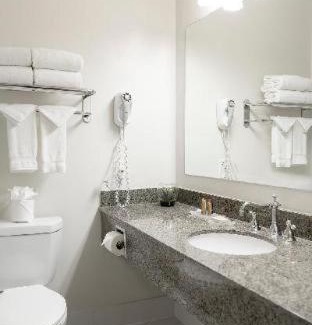 Anaheim Resort Hotel | Pet-Friendly ALO Hotel by Ayres with Pool and Hot Tub