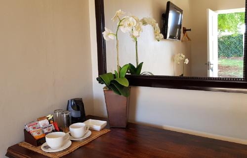 Middelburg House | Cozy Aloes Guest House 62 with Pool and Breakfast