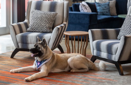 Beachwood Hotel | Inviting Stay at Aloft Beachwood: Pool, Spa & Breakfast