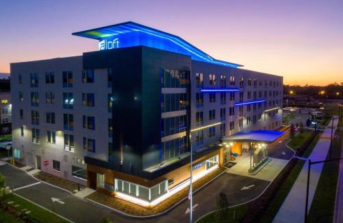 Gainesville Hotel | Explore Aloft Gainesville University Area: Pet-Friendly Retreat