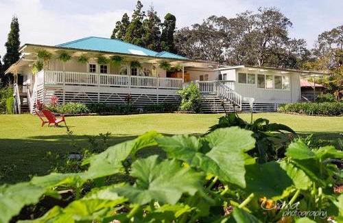 Volcano House | Discover Aloha Junction Guest House near Volcanoes Park