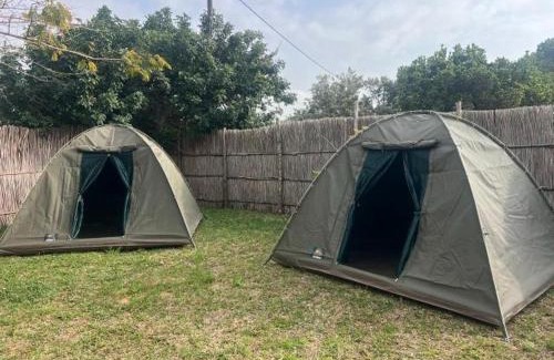 Lopes Other | Aloha Moz Camp Site