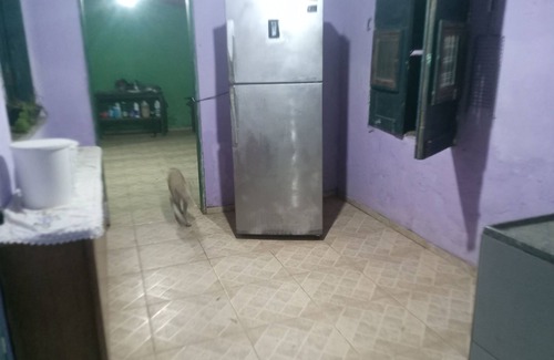 Luis Correia House | Discover Aloha_phb Hostel: Perfect Getaway by Atalaia Beach