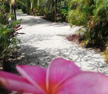 Nosara House | Aloha Surf Nosara - Casa 'Ohana