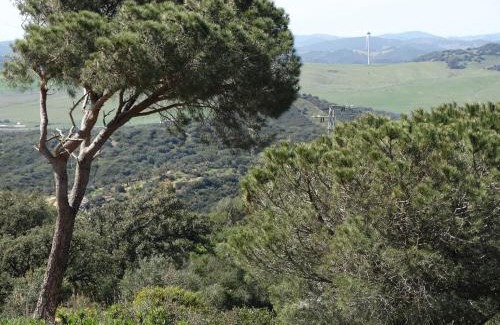 Alcala de los Gazules Apartment | Enjoy Oceanfront Bliss at Alojamiento Rural El Lario