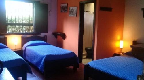 Pueblo Tapao Hotel | Discover Finca Estrella del Quindío: Pet-Friendly Retreat