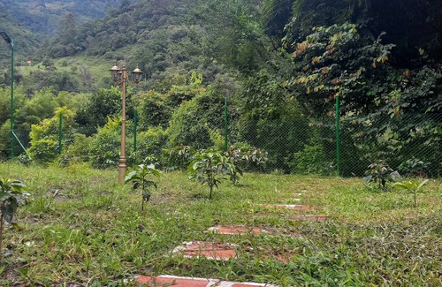 Ibague Hotel | Alojamiento Rural Kynzha