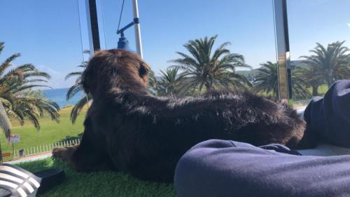 Suances Apartment | Oceanfront Alojamientos Marte: Family-Friendly Beach Stay